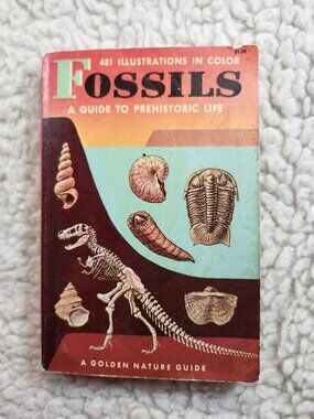Golden Press Fossils A Guide to Prehistoric Life 1962 Paperback Illustrated